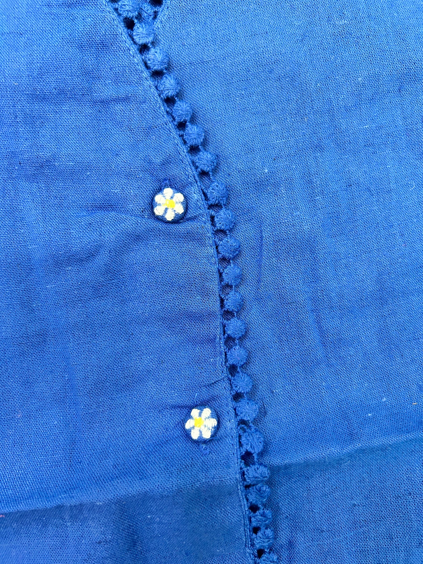 Blue vest