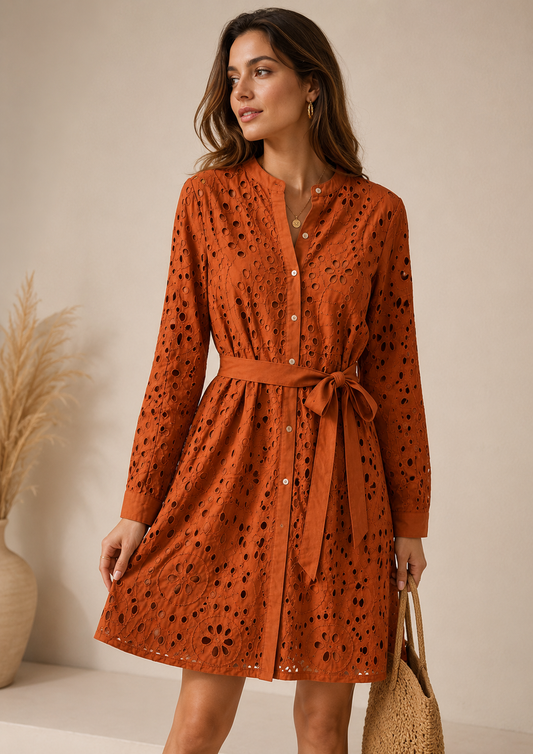 Brown schfli dress